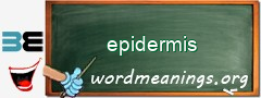 WordMeaning blackboard for epidermis